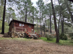 Cabaña los chorros